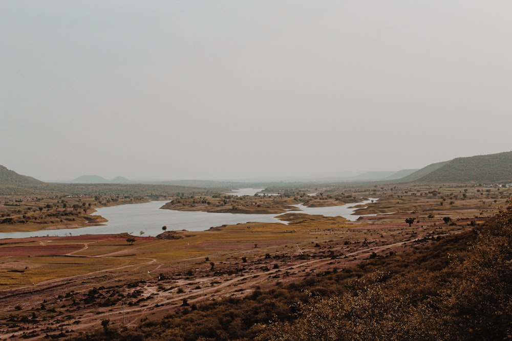 brown field near body of water during daytime