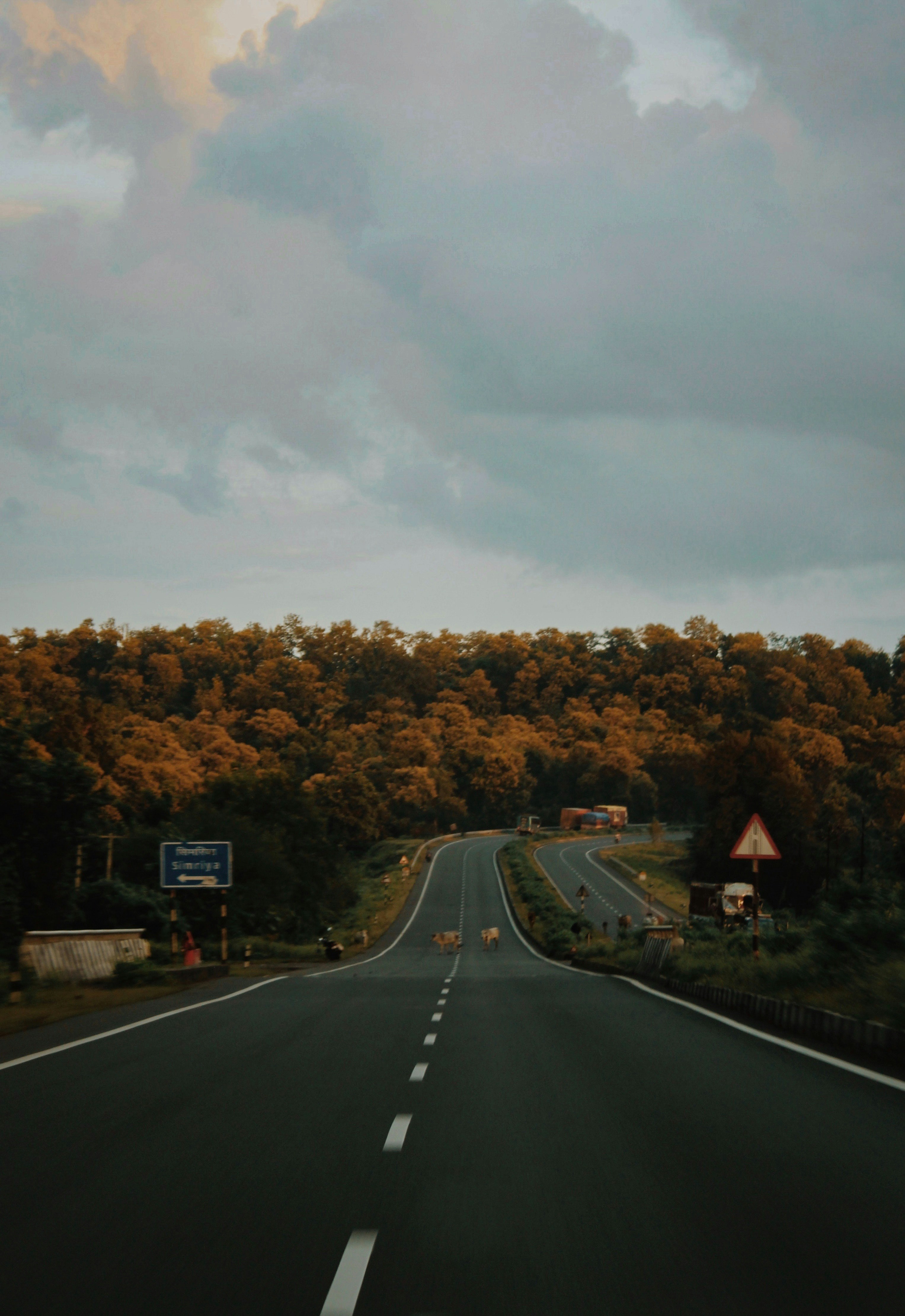 Photo by eyeswithmyopia