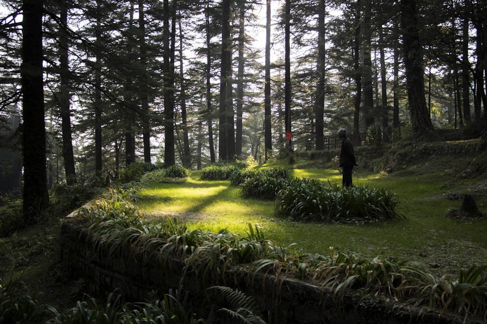 person in black jacket walking on pathway between green grass and trees during daytime