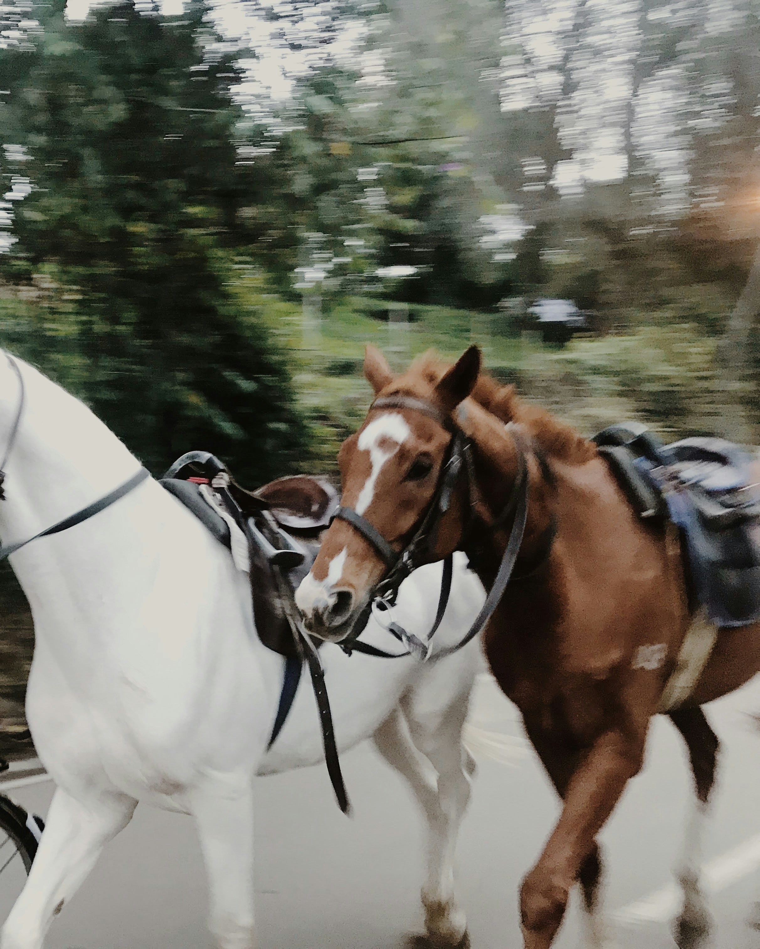 Photo by raeesthappy