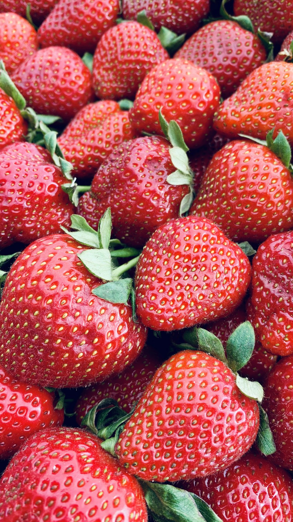 red strawberries in close up photography