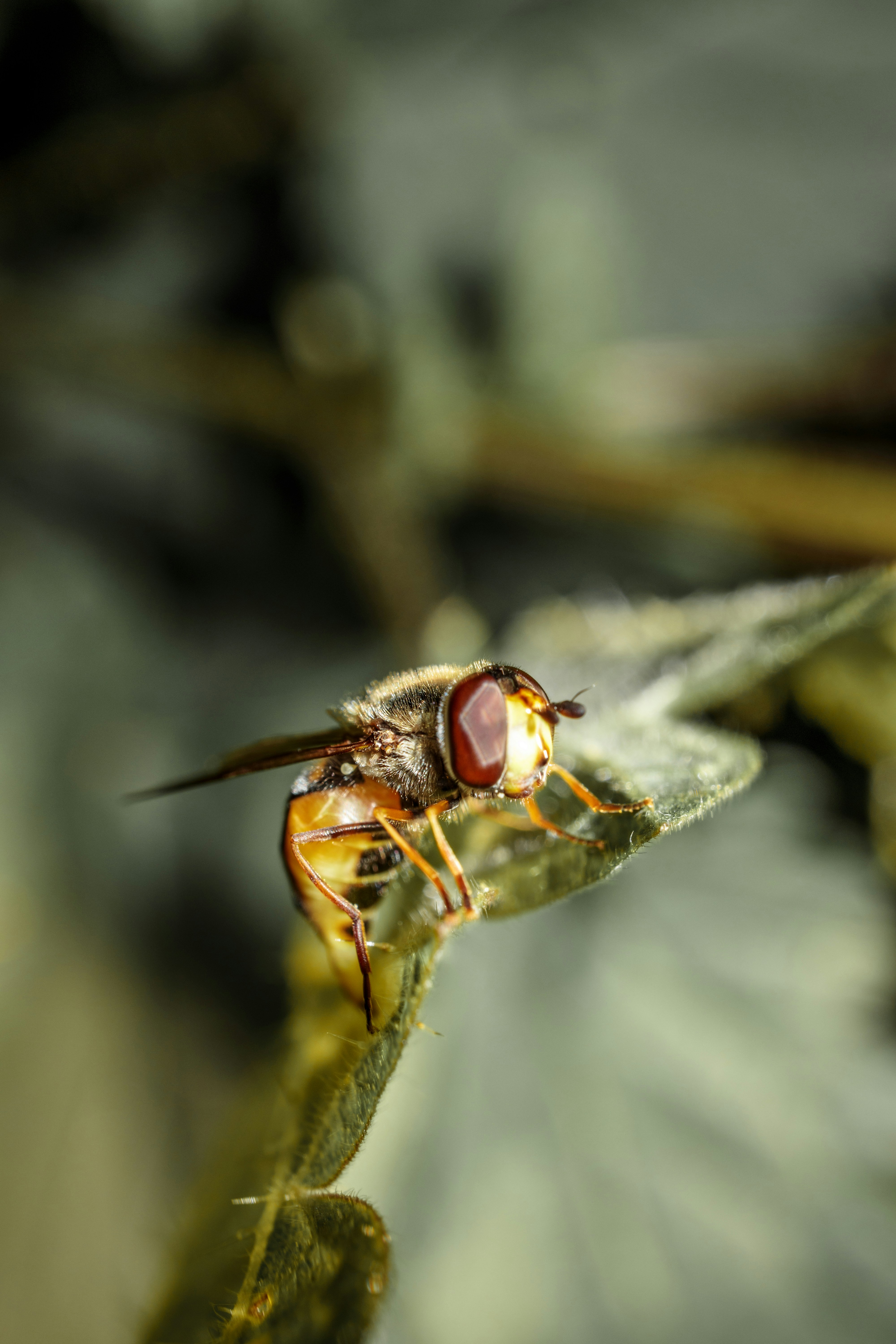 Photo by grievek1610begur