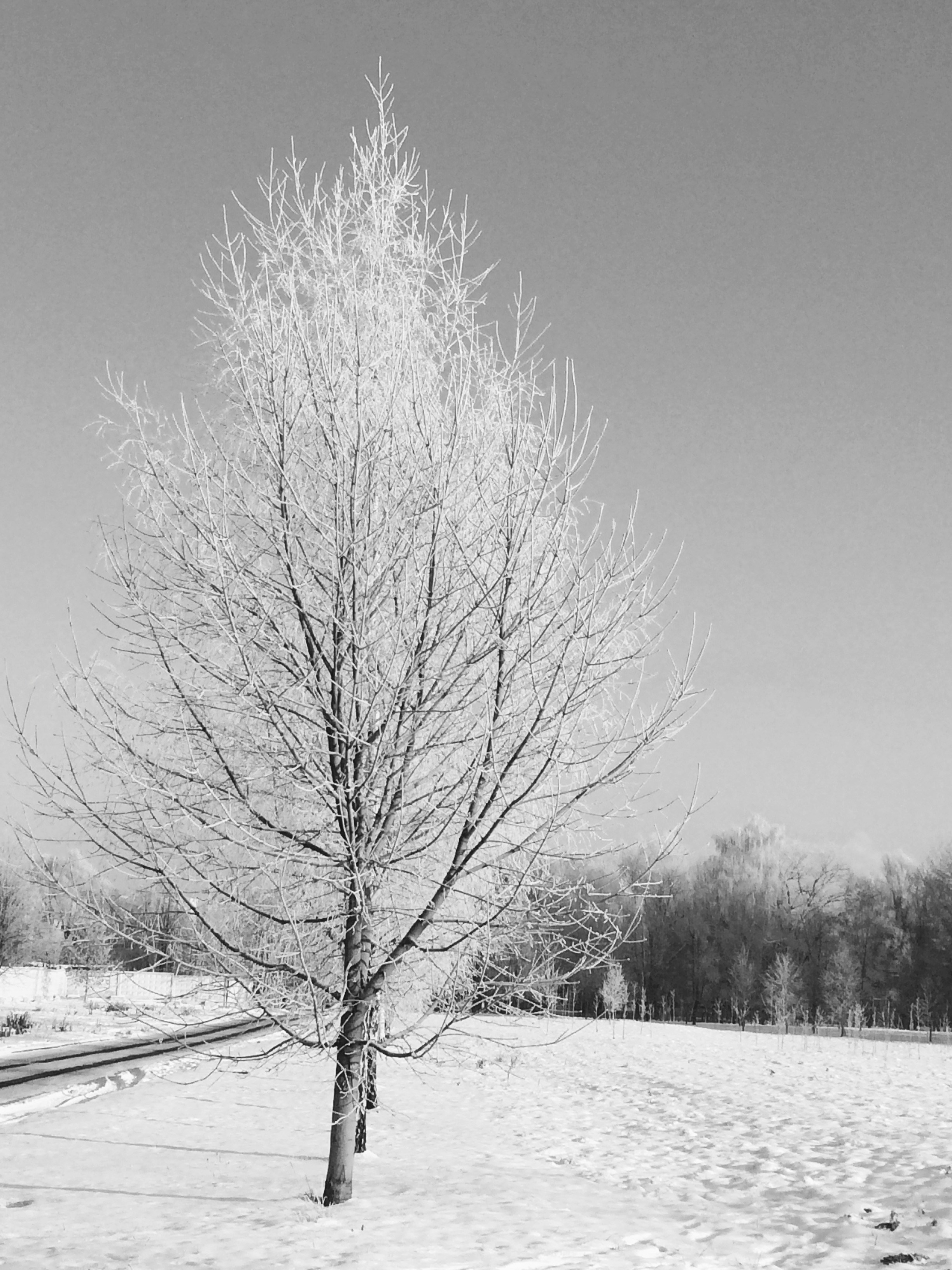 Photo by behnamgohari