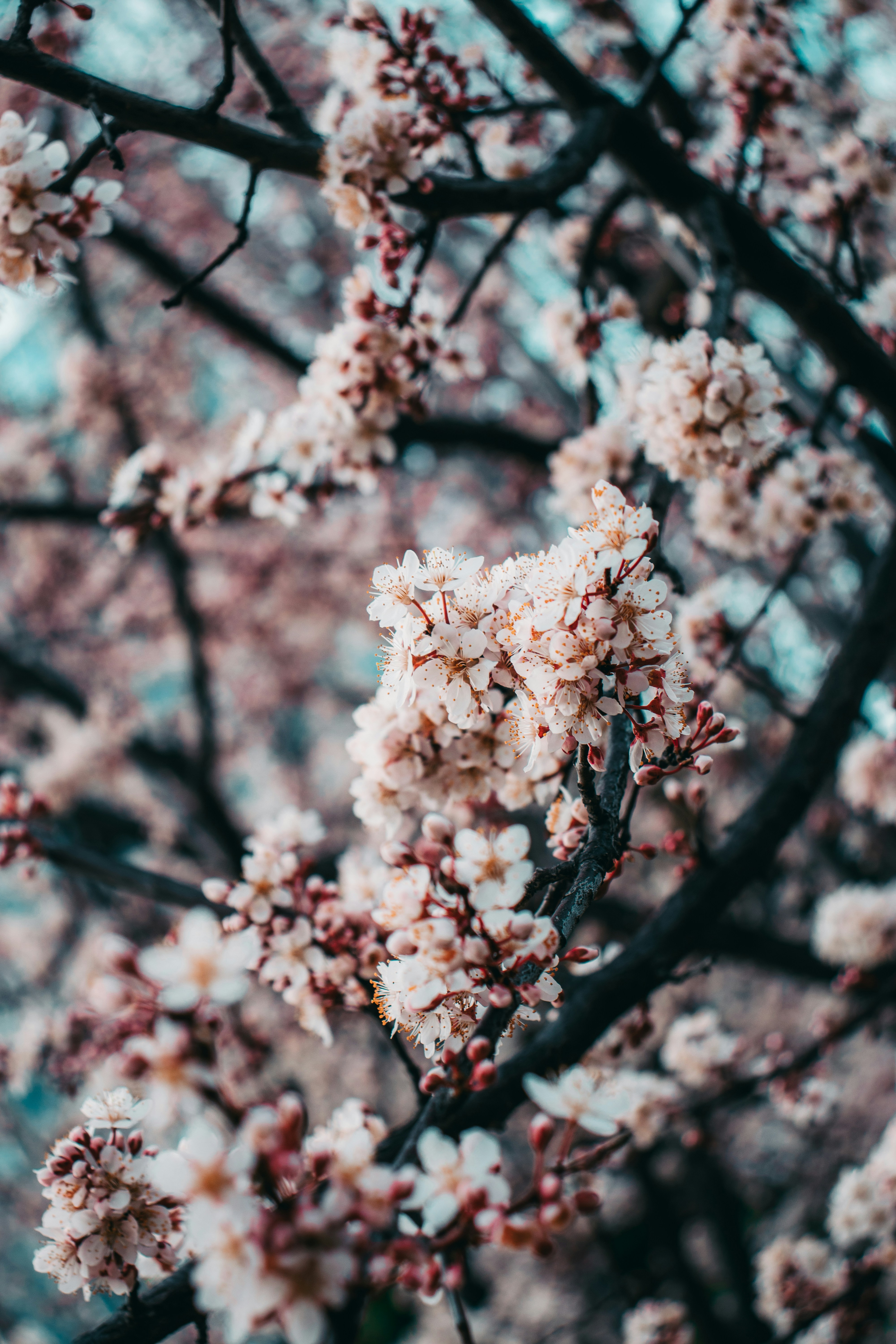 Photo by johnny_kennady