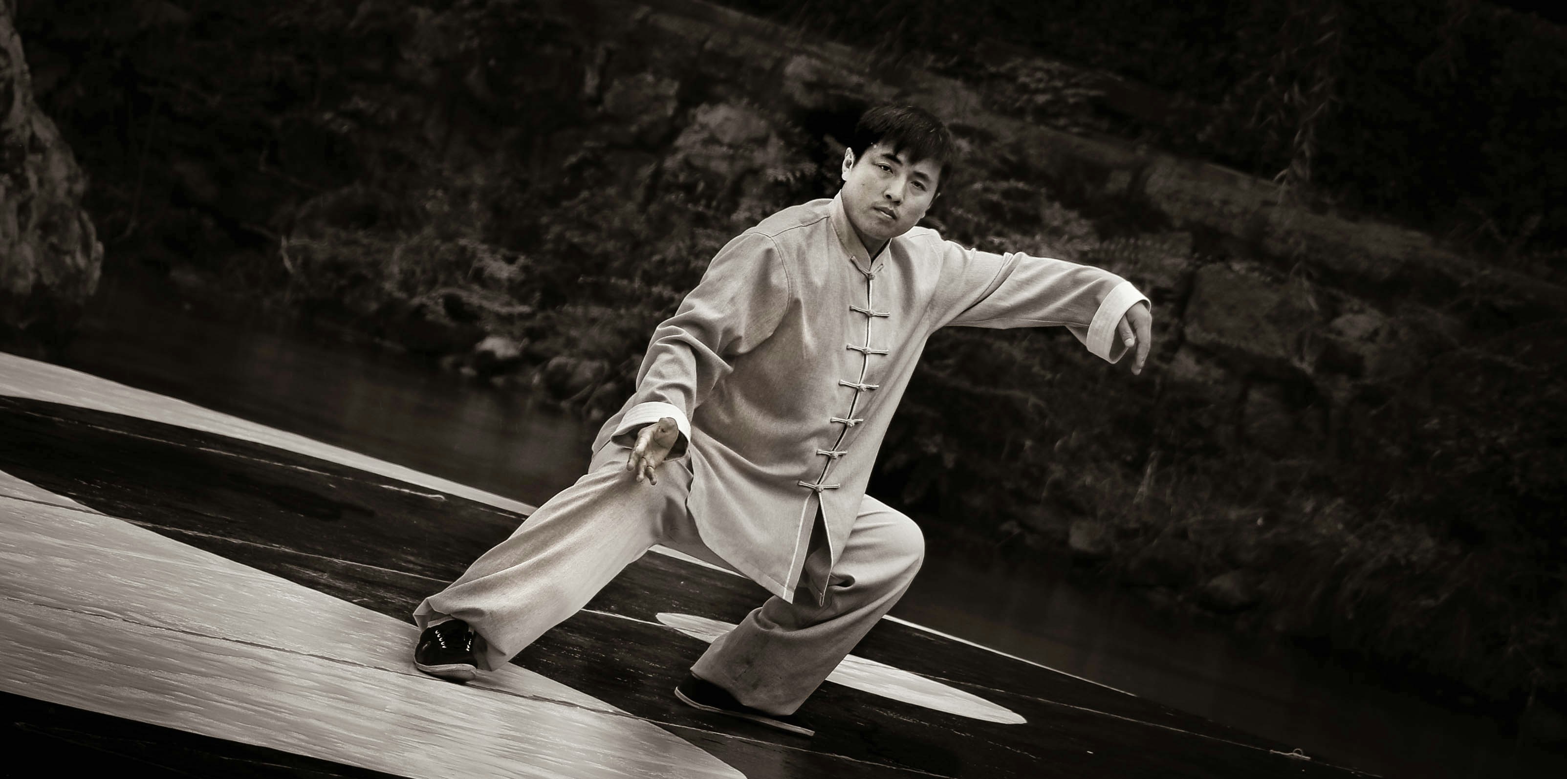 Tai chi master