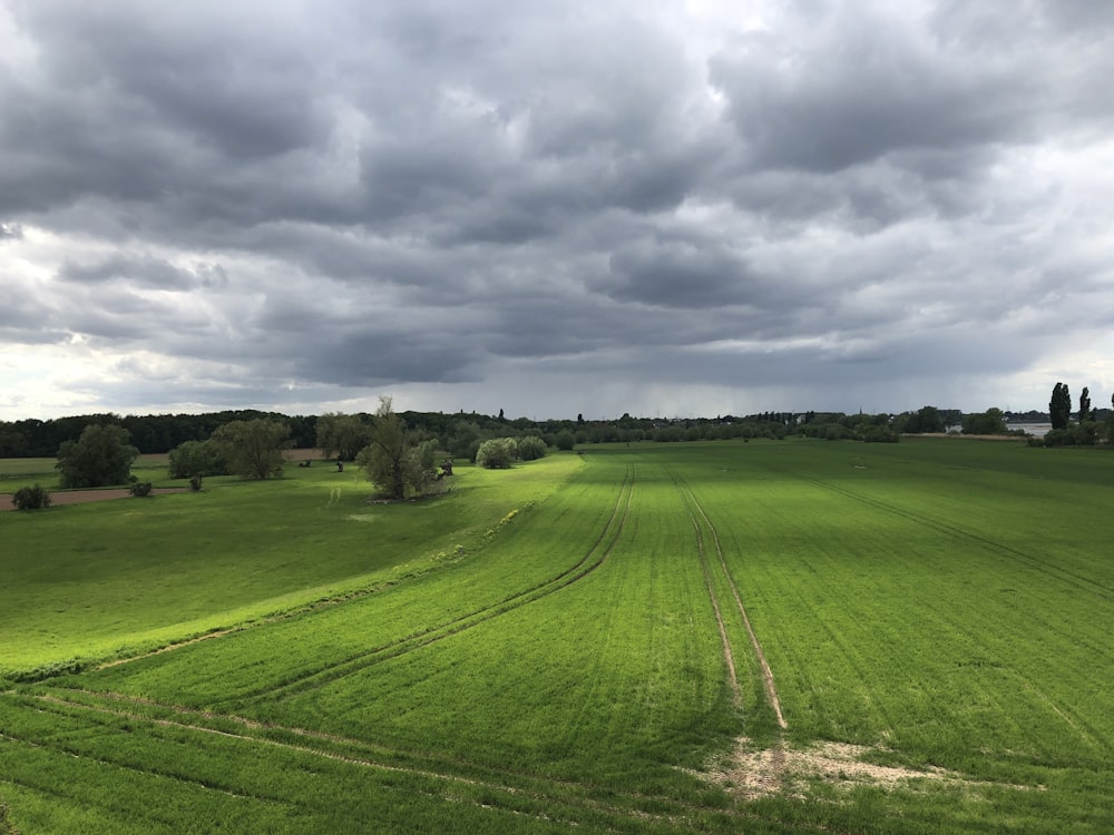 green grass field under cloudy sky during daytime