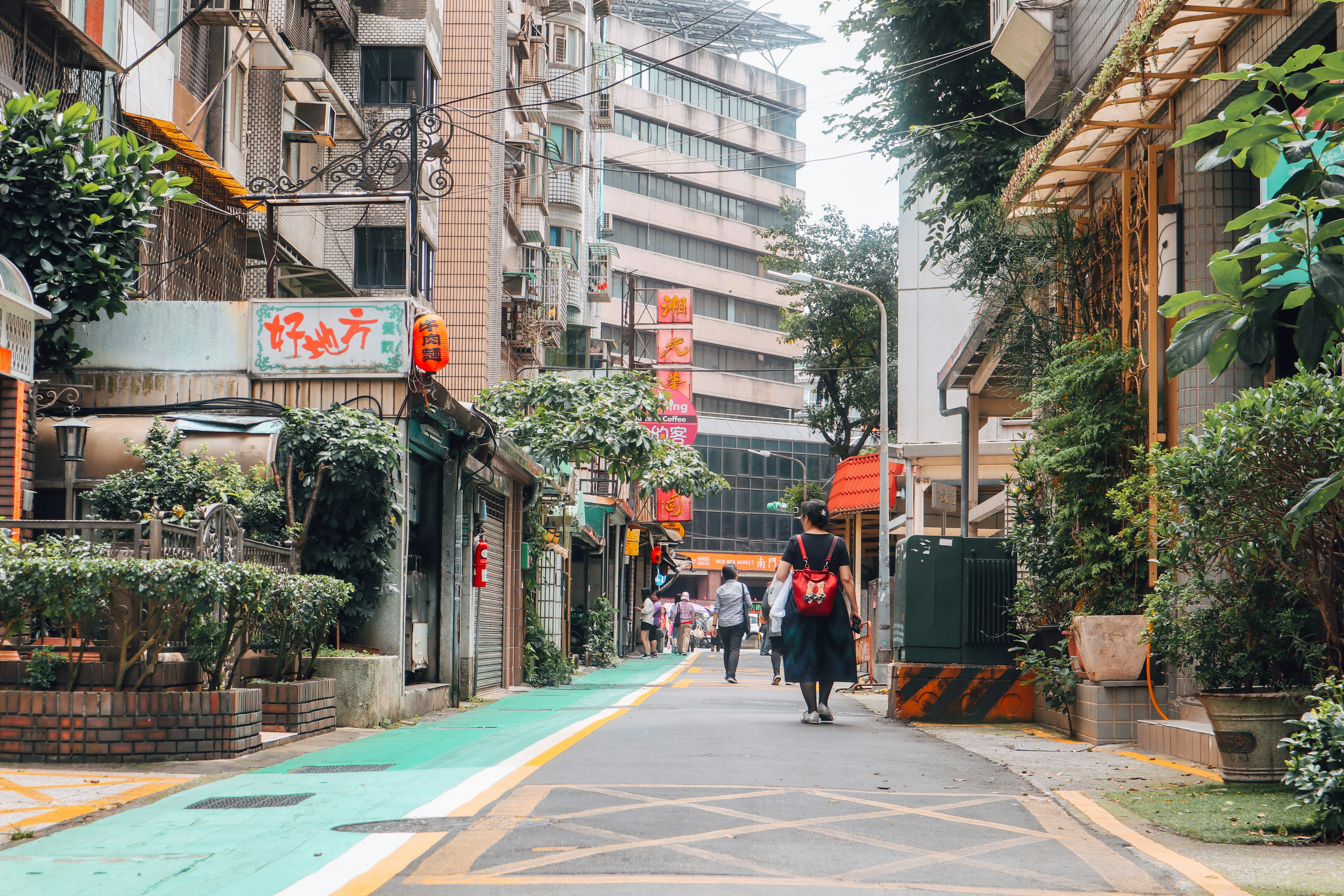 people walking on pedestrian lane during daytime