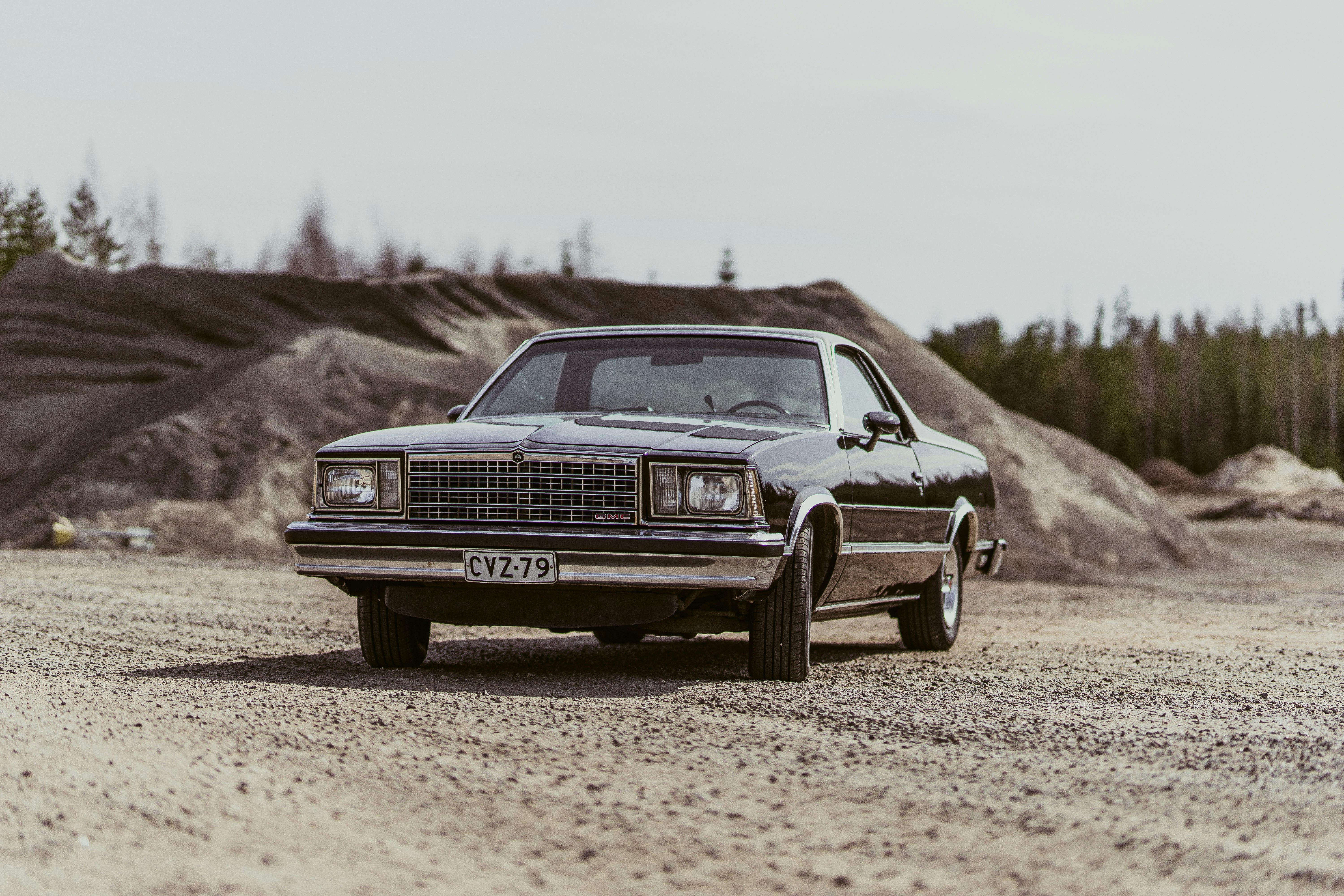 Photo by palmariannika