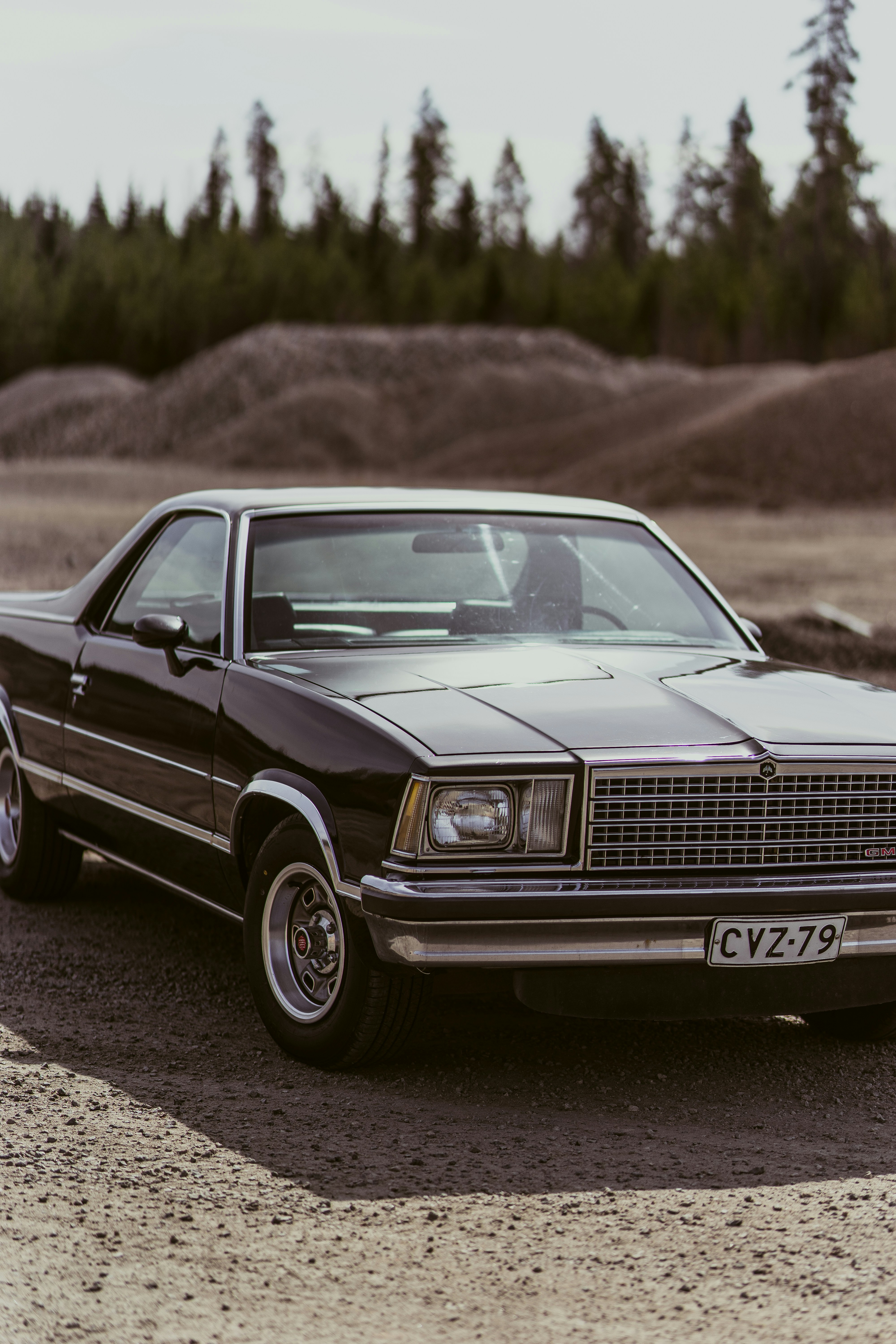 Photo by palmariannika