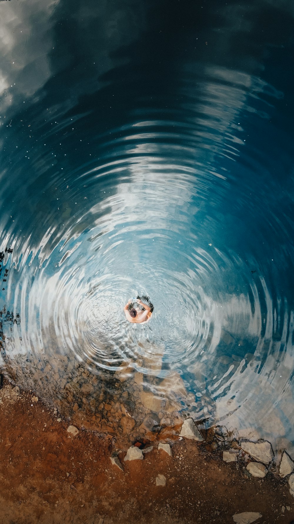 white and black round ball in water