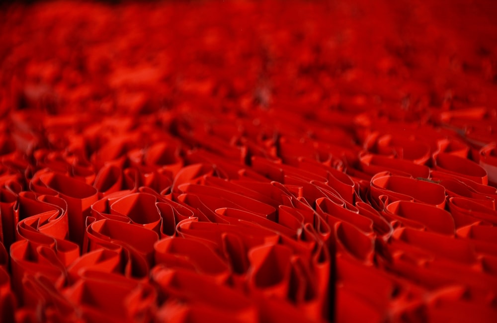 petali rossi nella fotografia ravvicinata