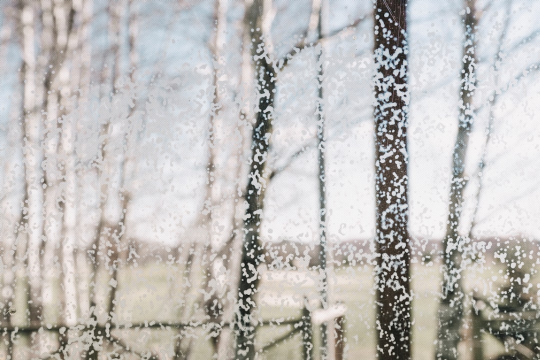 brown wooden fence with snow