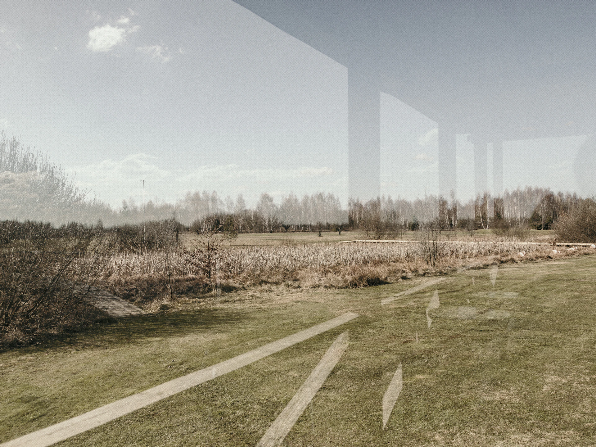 A wide, spacious landscape shot highlighting tranquility with soft natural light and ample negative space.