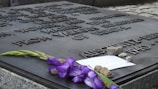 A close-up of a memorial plaque engraved with text. Purple flowers, a handwritten note, and several small stones are placed on the plaque. The text references Auschwitz and includes dates.