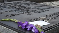 A close-up of a memorial plaque engraved with text. Purple flowers, a handwritten note, and several small stones are placed on the plaque. The text references Auschwitz and includes dates.