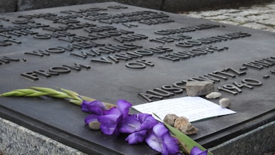 A close-up of a memorial plaque engraved with text. Purple flowers, a handwritten note, and several small stones are placed on the plaque. The text references Auschwitz and includes dates.