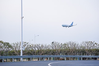 A commercial airplane is in mid-air against an overcast sky, approaching for landing. Below, there is a curved road bordered by neatly trimmed hedges and trees. A tall white lamppost stands prominently near the road.