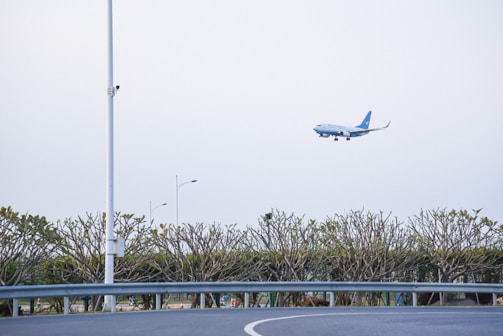 A commercial airplane is in mid-air against an overcast sky, approaching for landing. Below, there is a curved road bordered by neatly trimmed hedges and trees. A tall white lamppost stands prominently near the road.