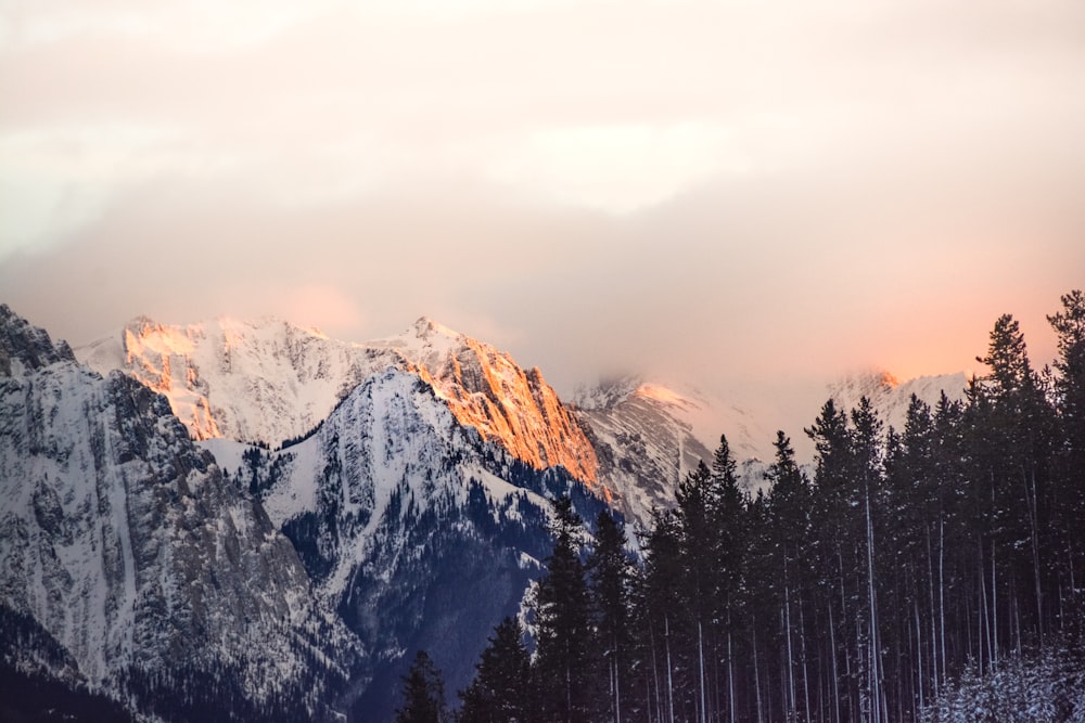 snow covered mountain during daytime