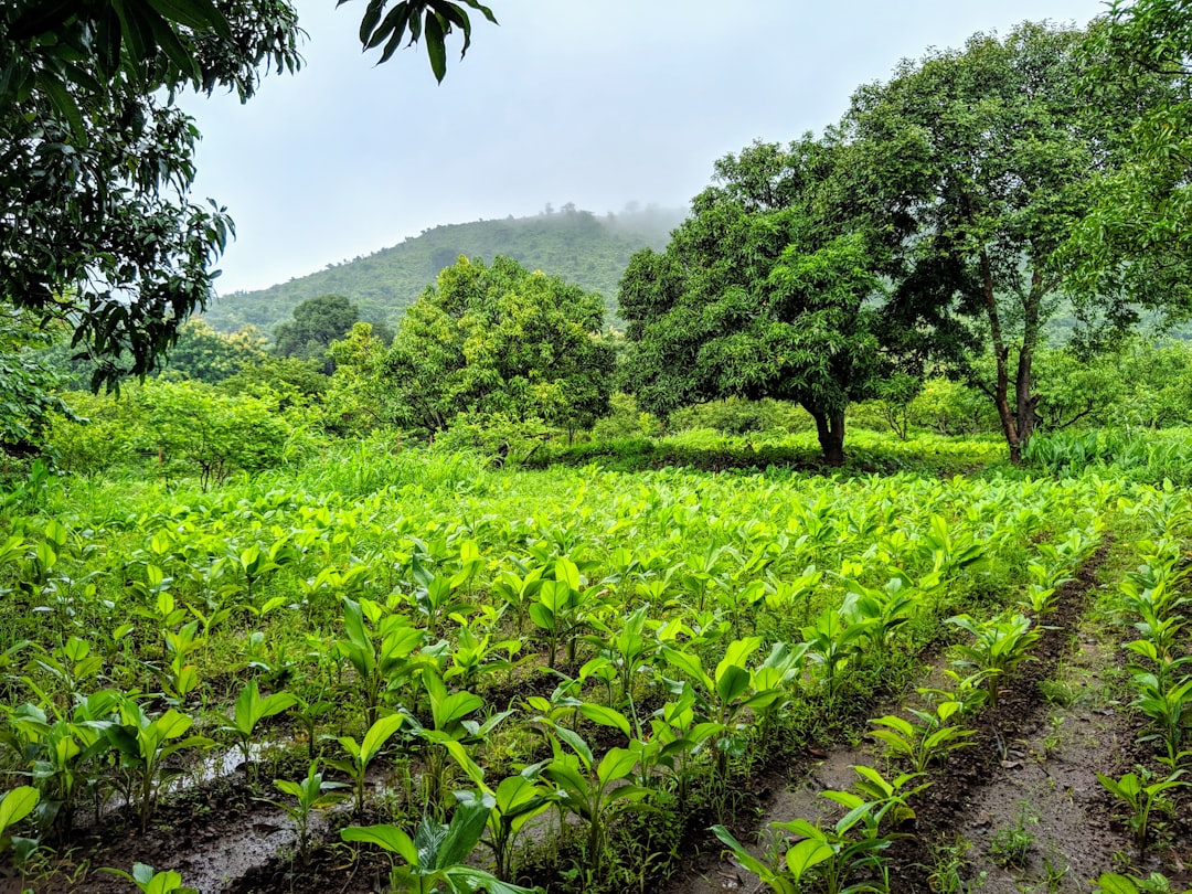 Hill station photo spot Umergaon Maharashtra