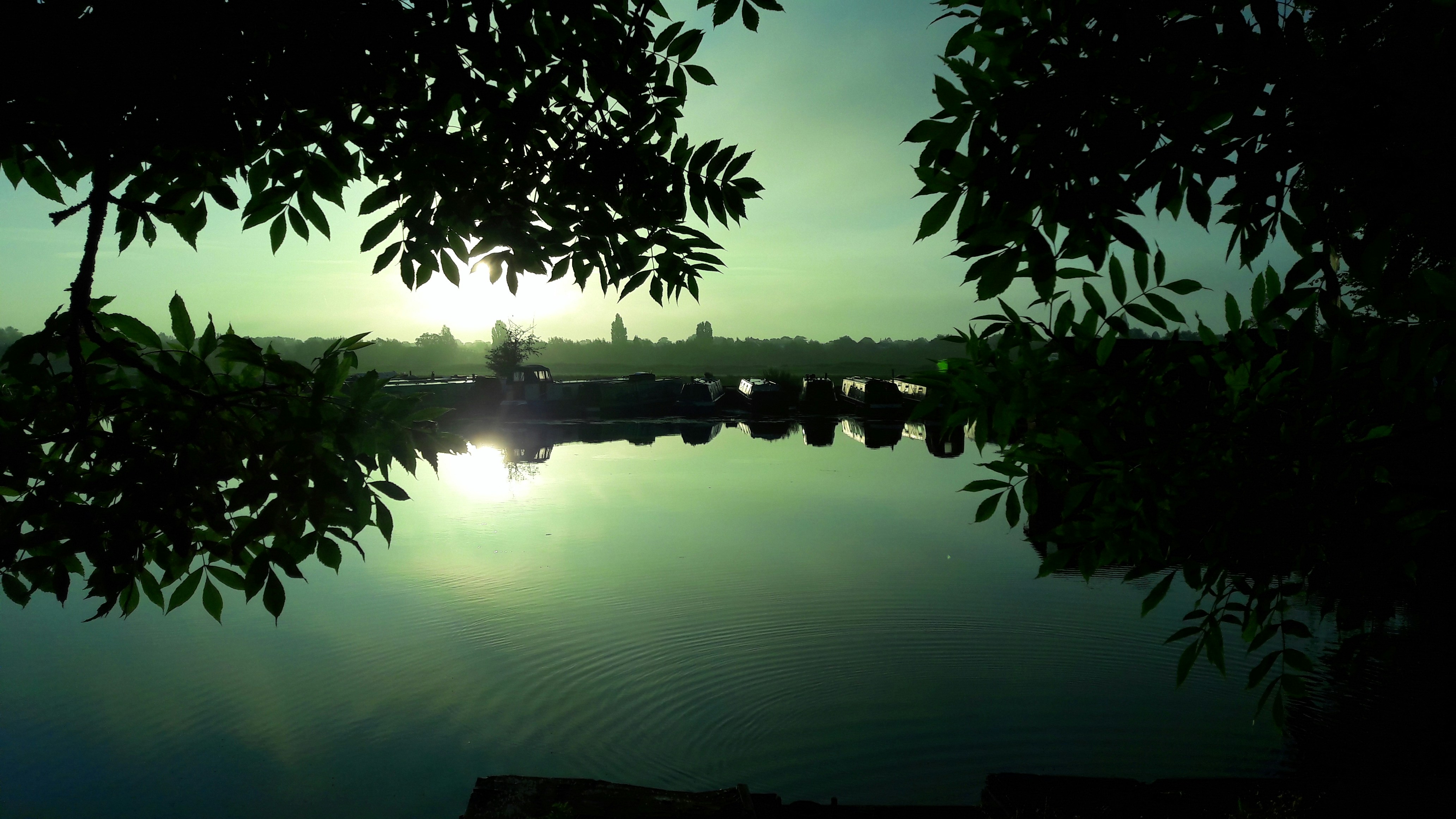 Serene Ulsoor Lake with rowing boats, reflections of trees on calm blue water at sunrise
