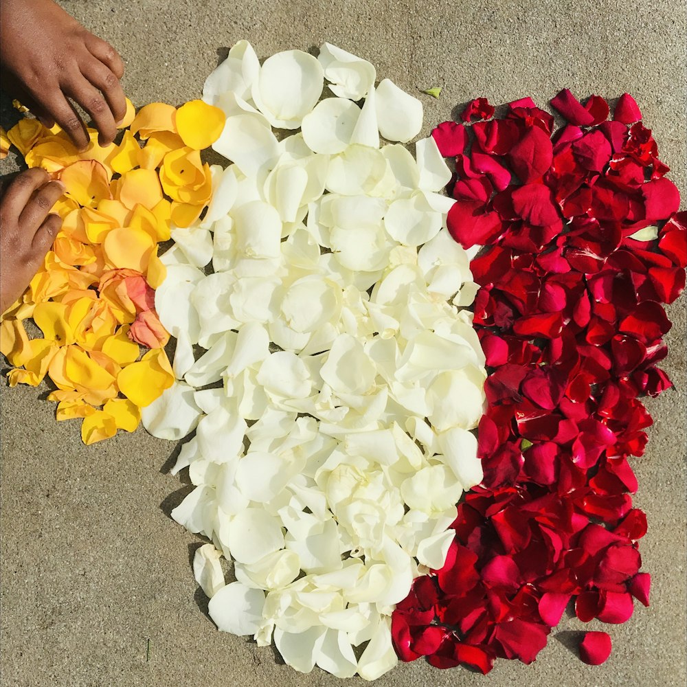 white and red roses on gray concrete floor