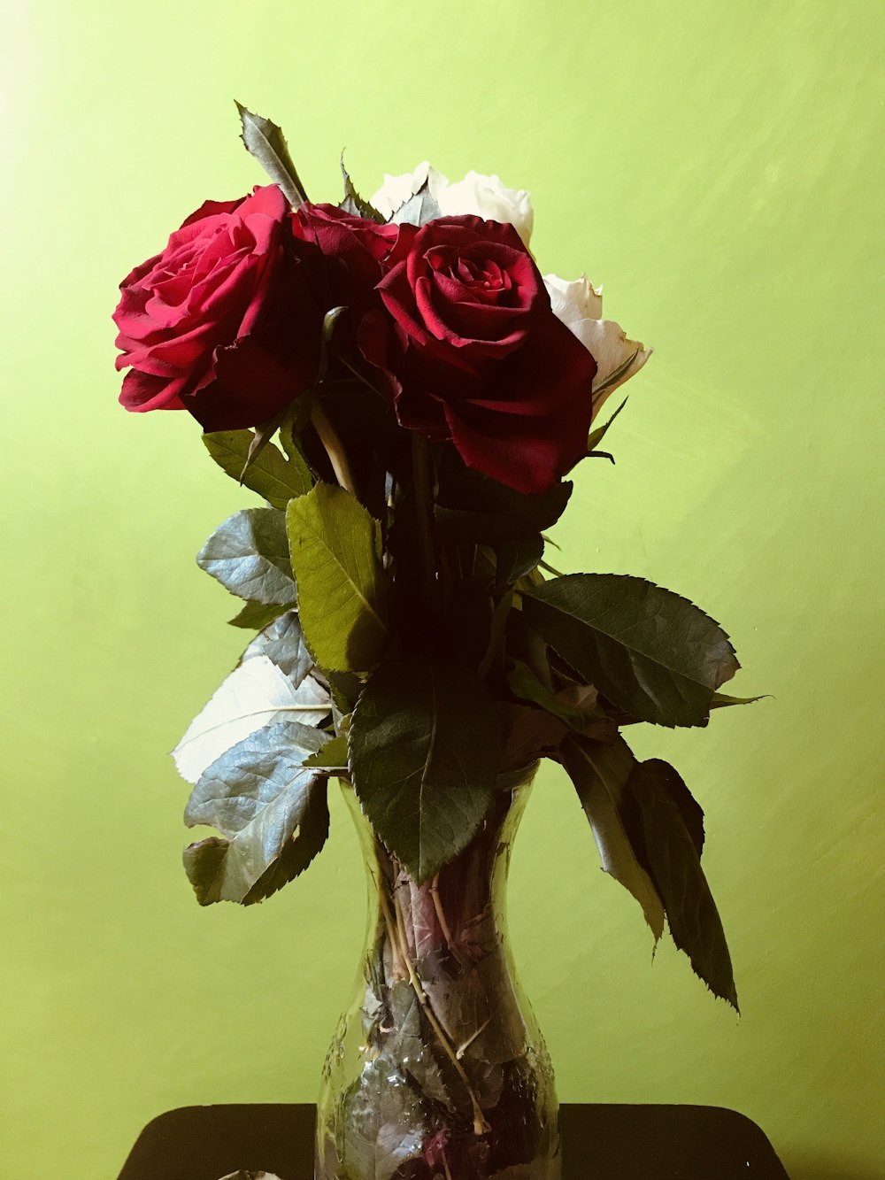 red and white roses in clear glass vase