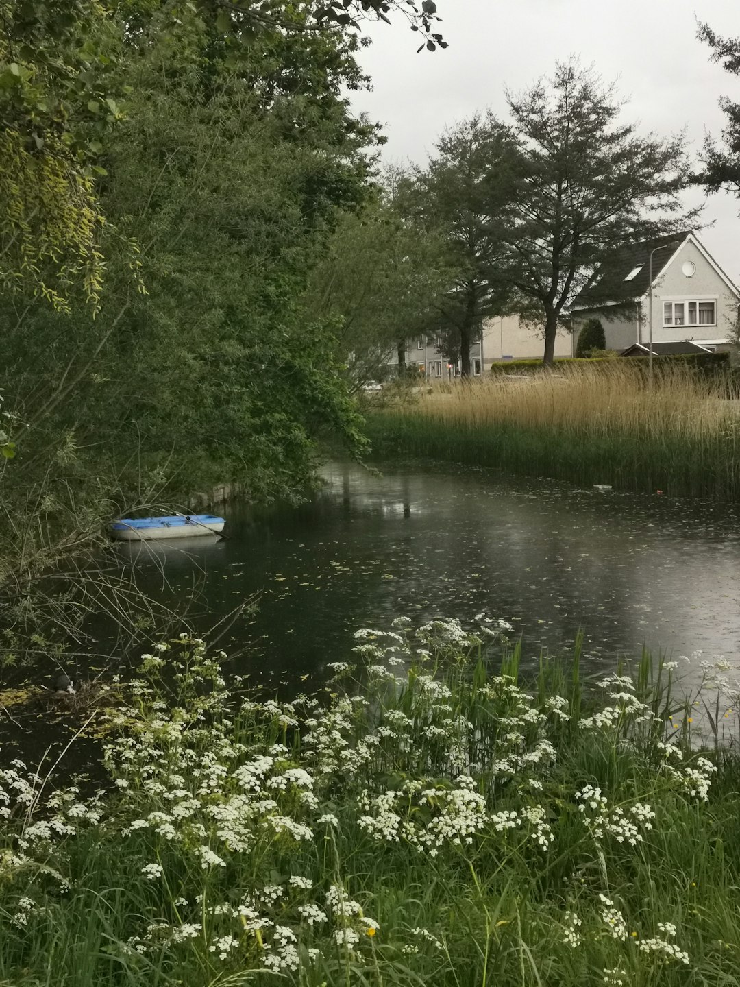 Nature reserve photo spot Ridderkerk Holland