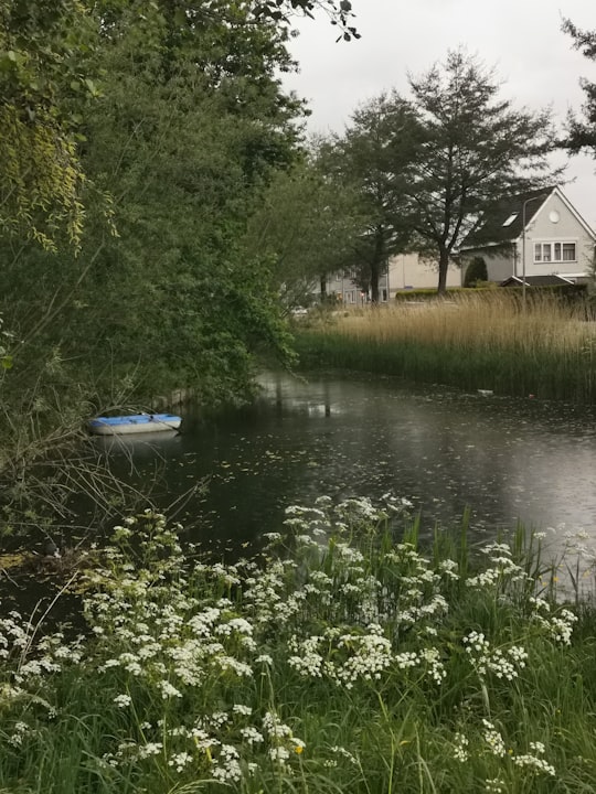 blue boat on river near green trees during daytime in Ridderkerk Netherlands