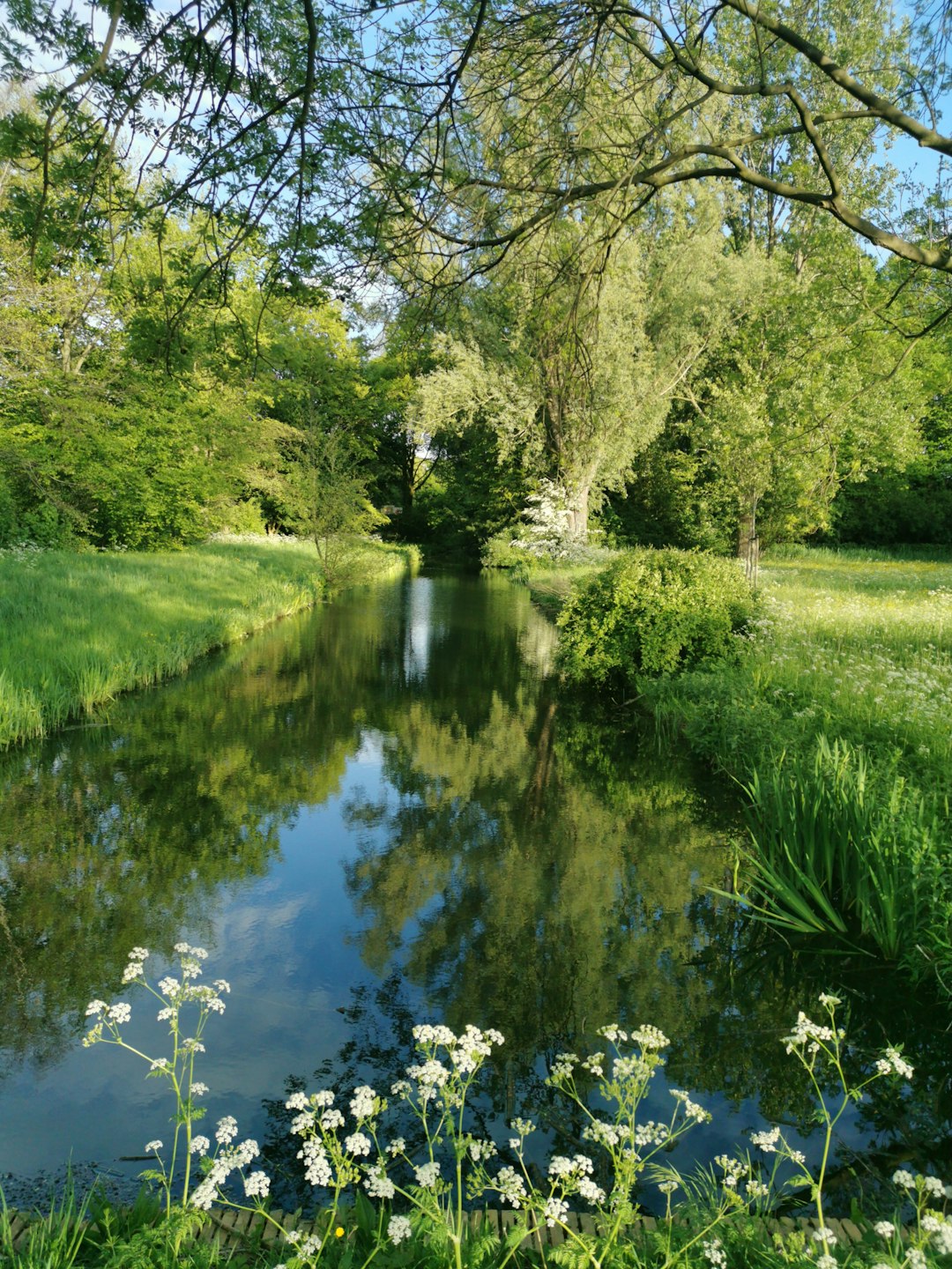 Nature reserve photo spot Slikkerveer Almere Stad