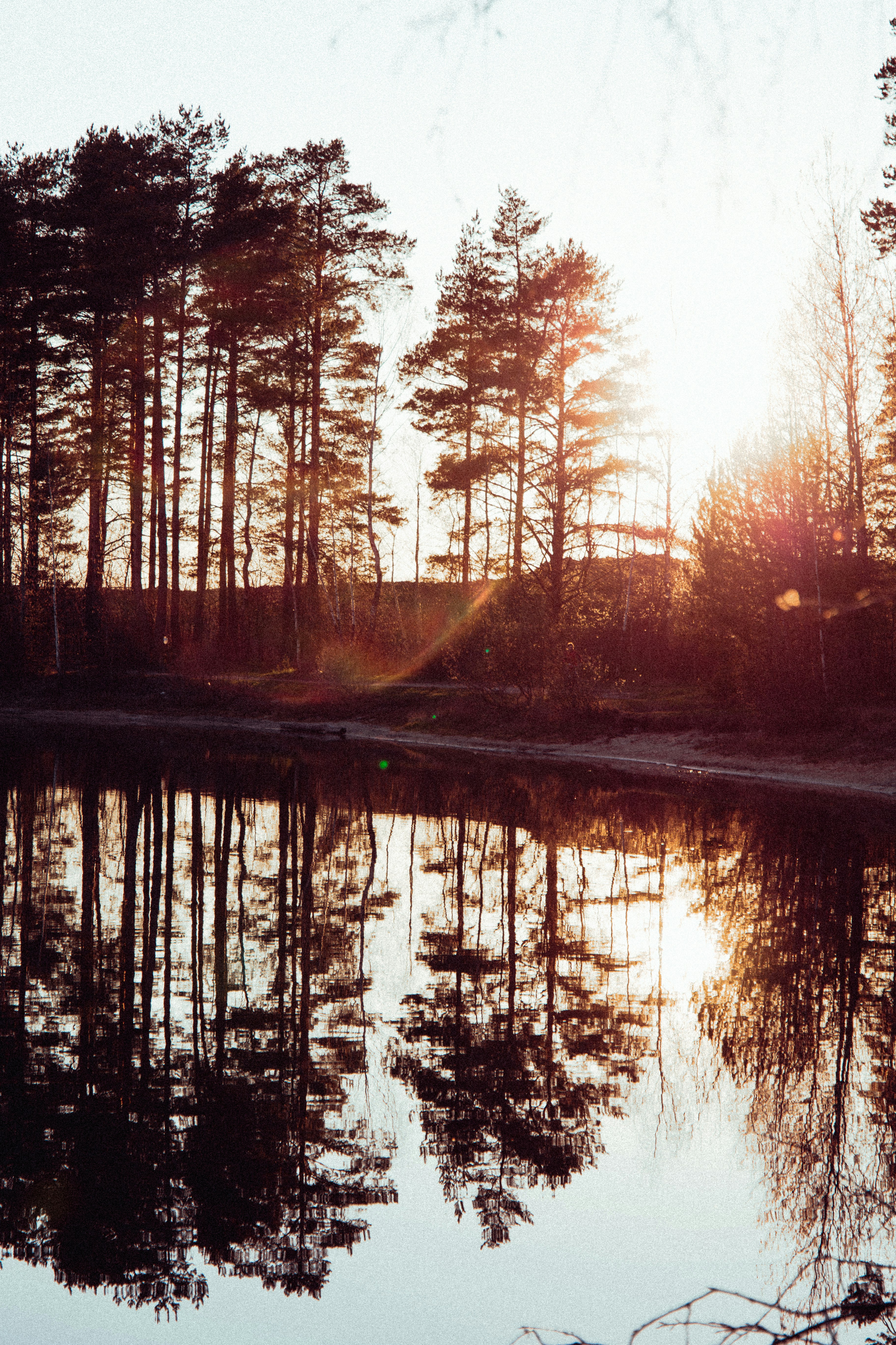 Photo by kkalerry