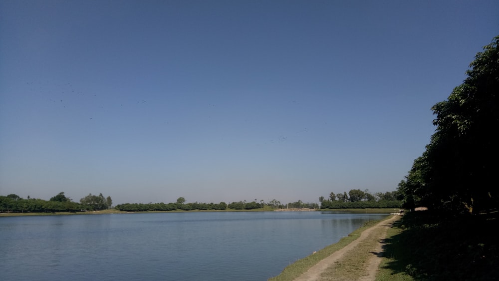 body of water near green trees during daytime