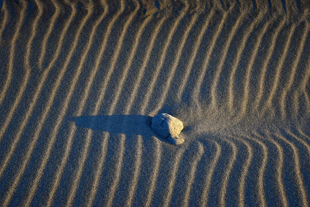 white stone on brown sand