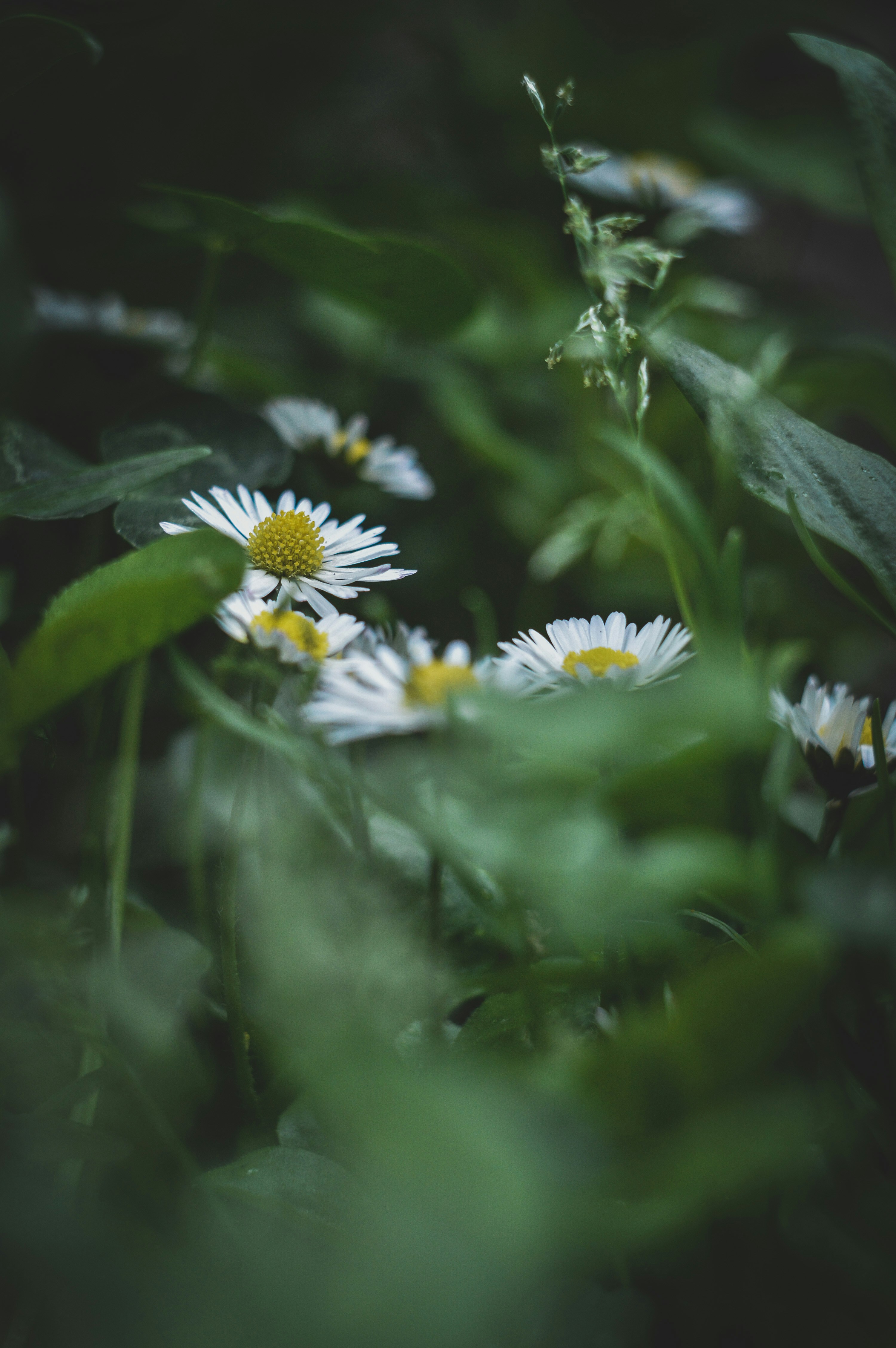 Photo by sam380967903116