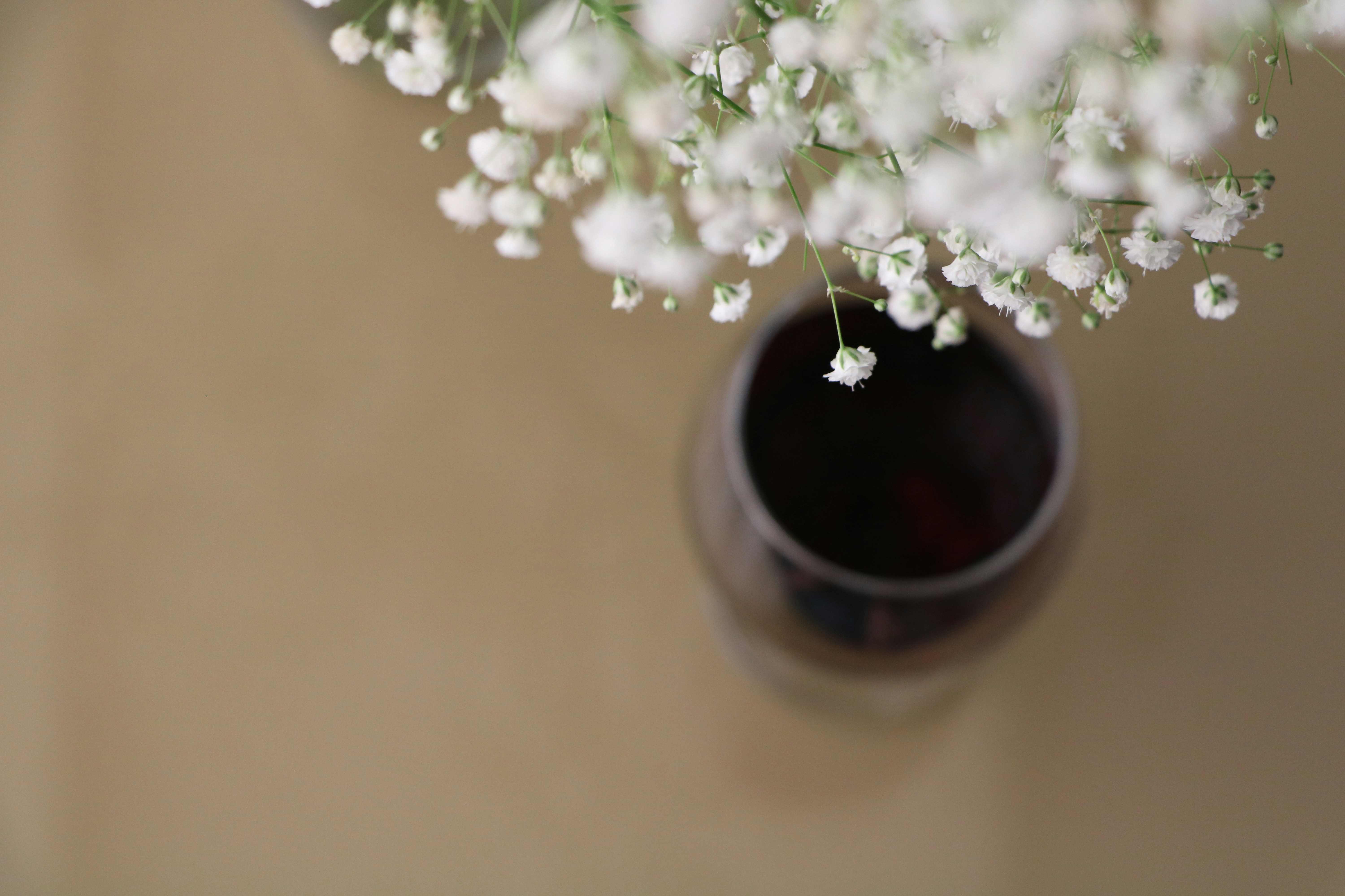 Photo by shaadiahmadi