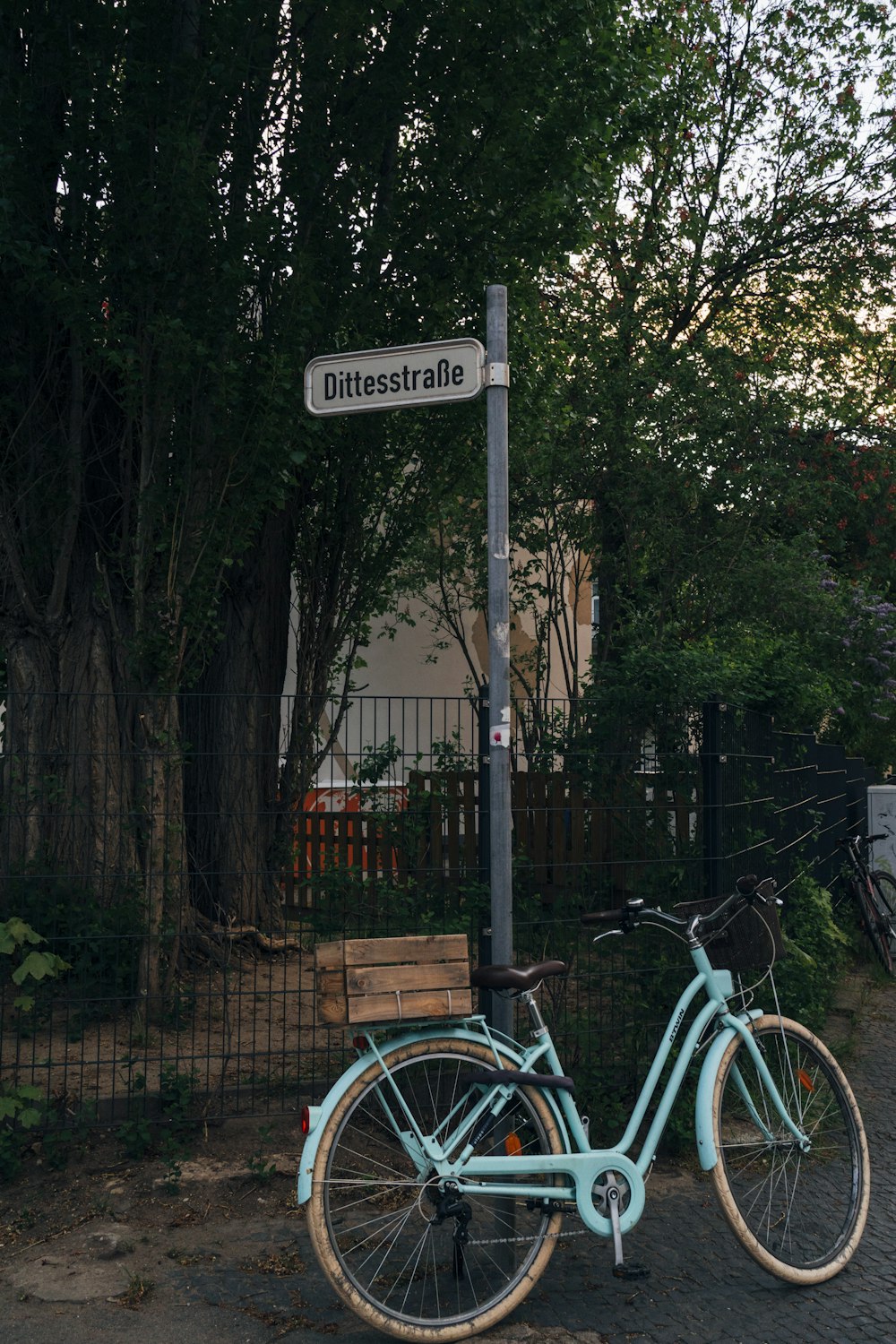 blue and white city bicycle parked beside green trees during daytime