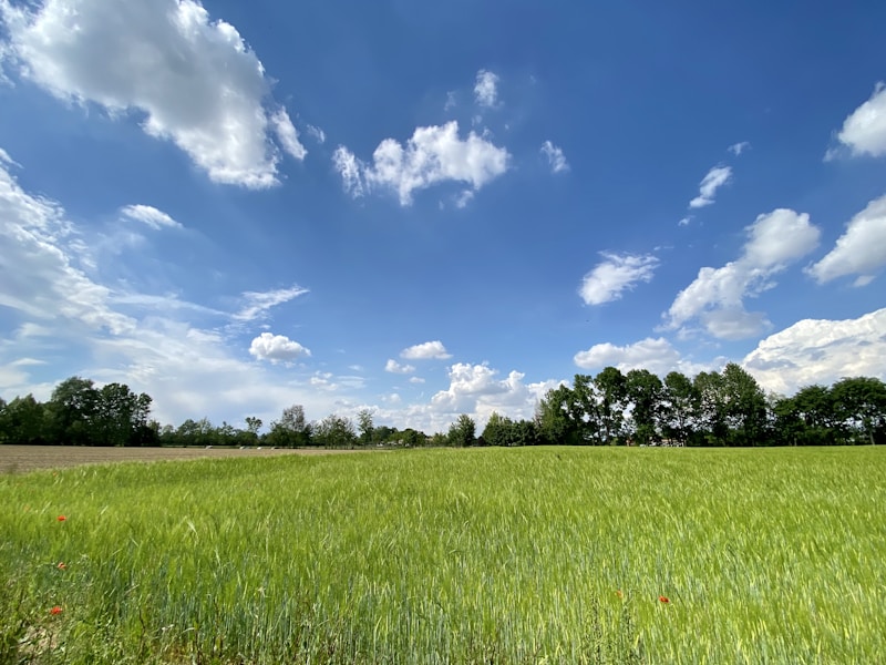 Mogliano Veneto