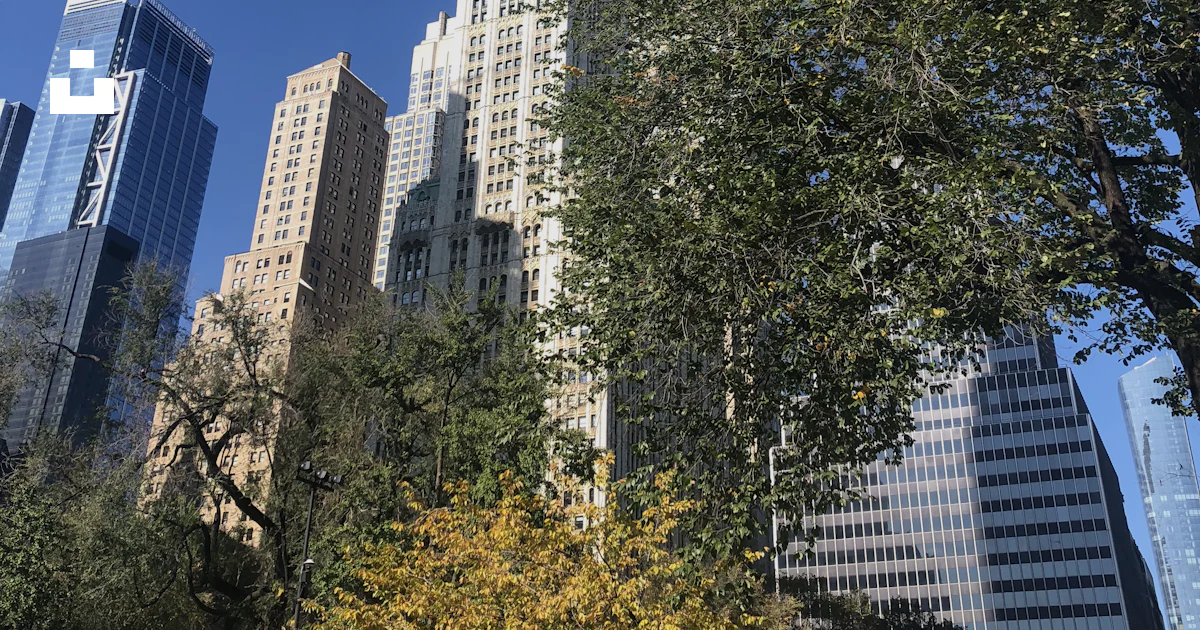 Tree Top Hi Rise Green trees near high rise buildings during daytime photo – Free États ...