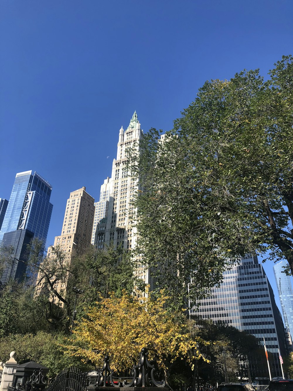 green trees near high rise buildings during daytime