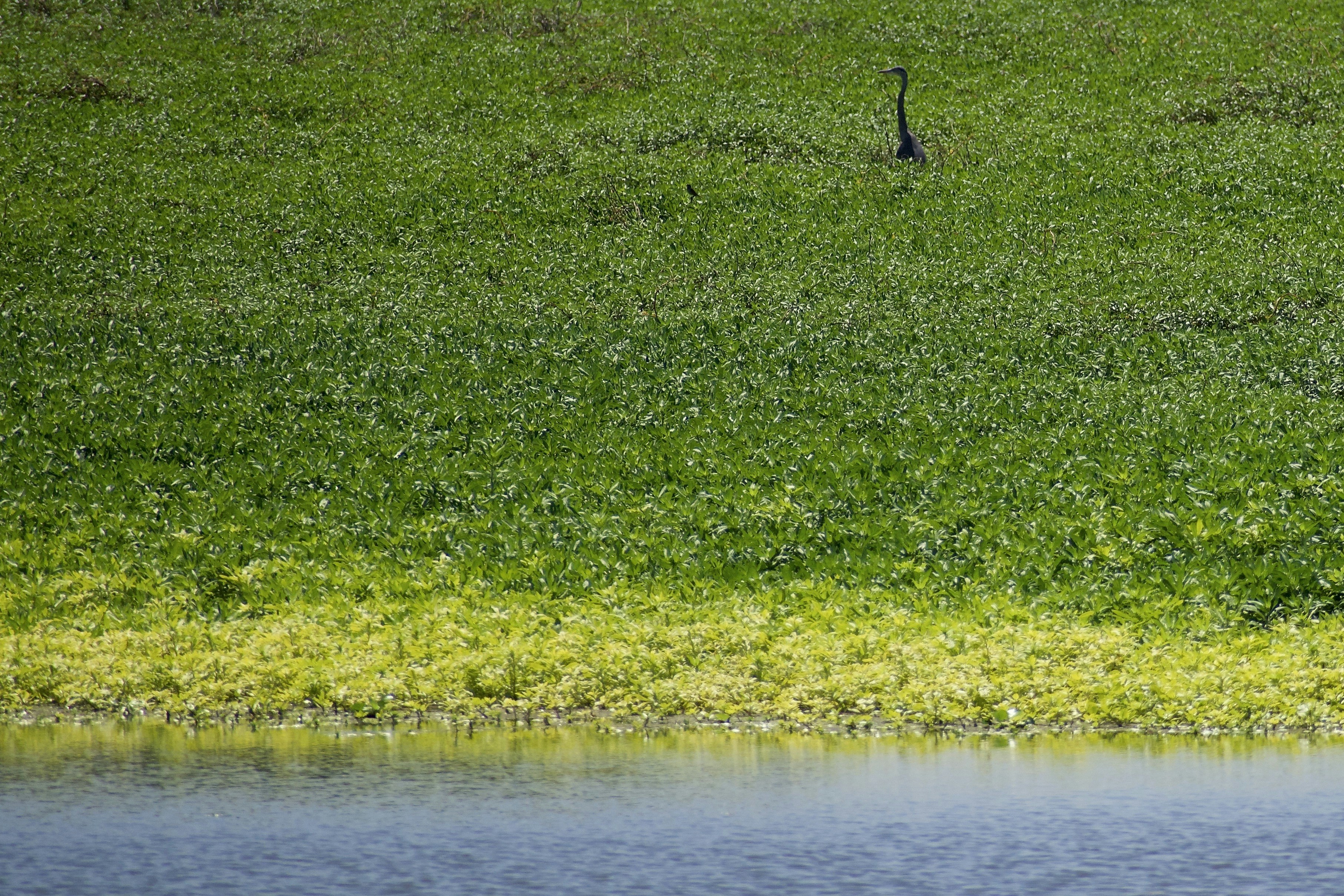 Photo by elisastonephotography