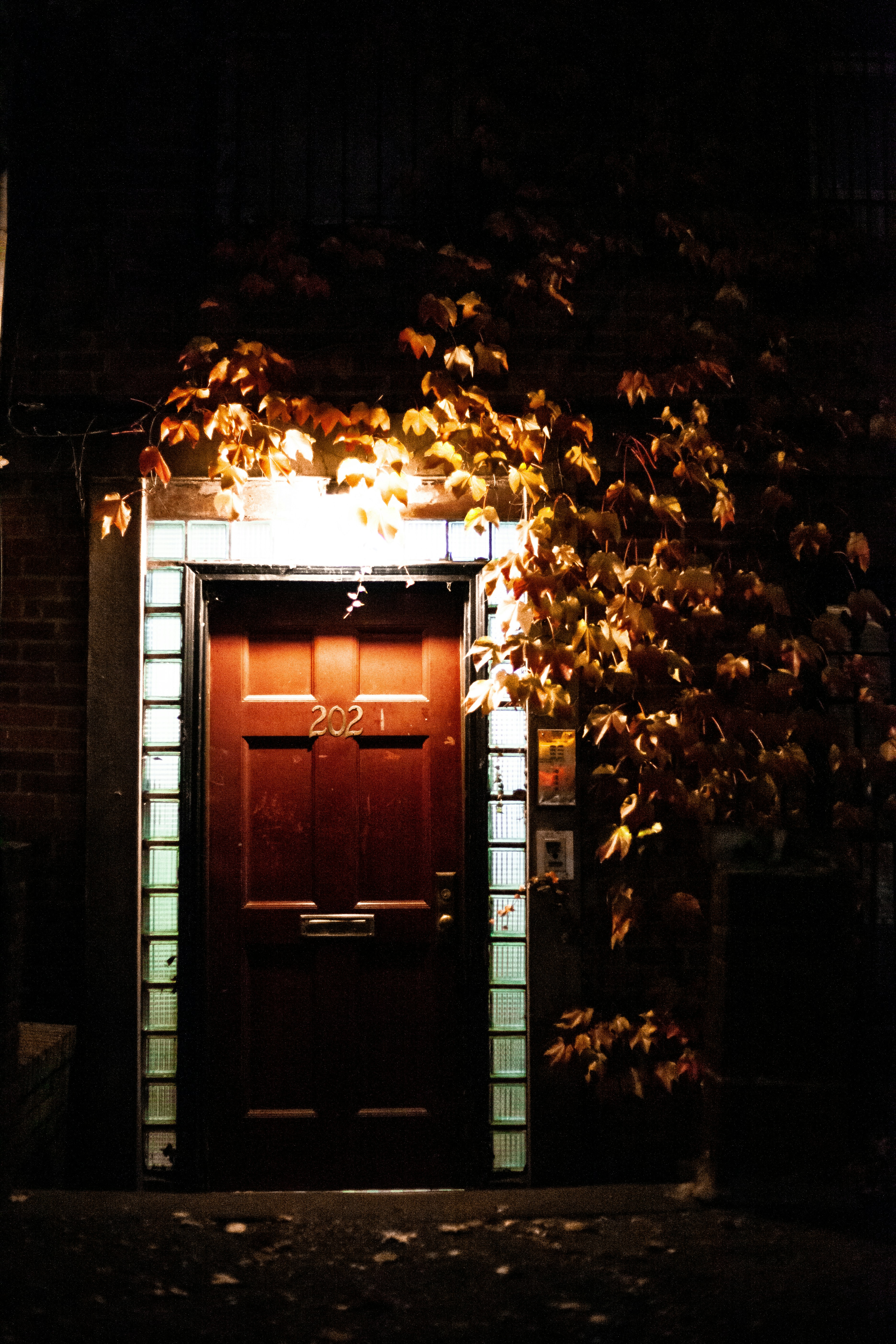 Photo by reallygoodjames