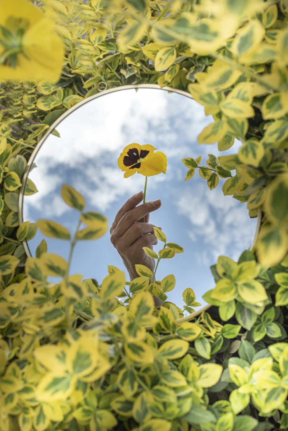 Persona sosteniendo una flor amarilla bajo el cielo azul durante el día