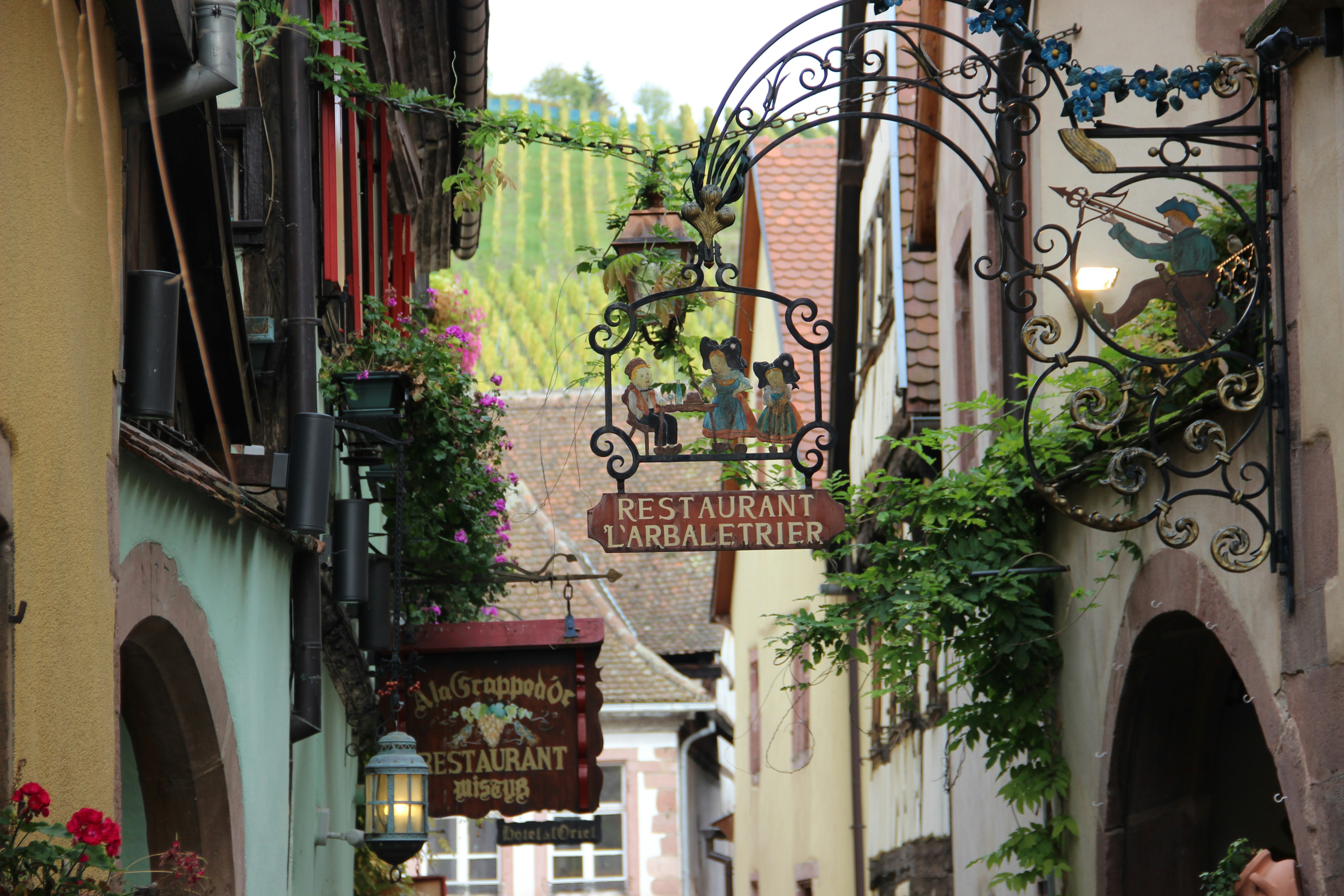 red and white concrete building