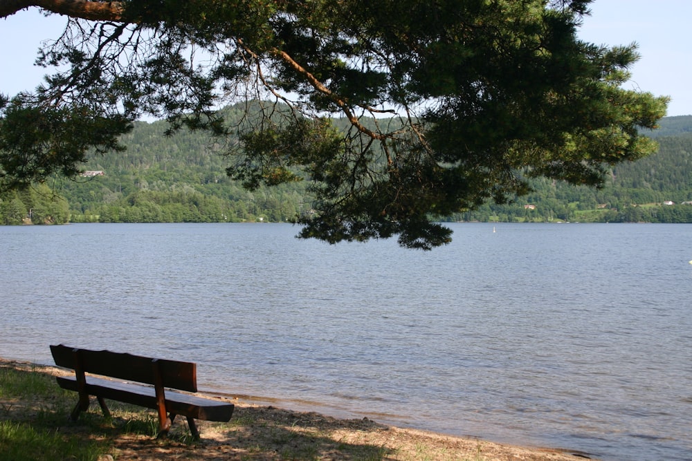 brown wooden bench near body of water during daytime