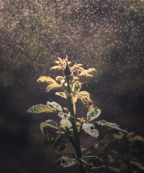 Water Retention Agent