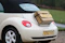Happy couple loading luggage into a white rental car parked by a scenic countryside road