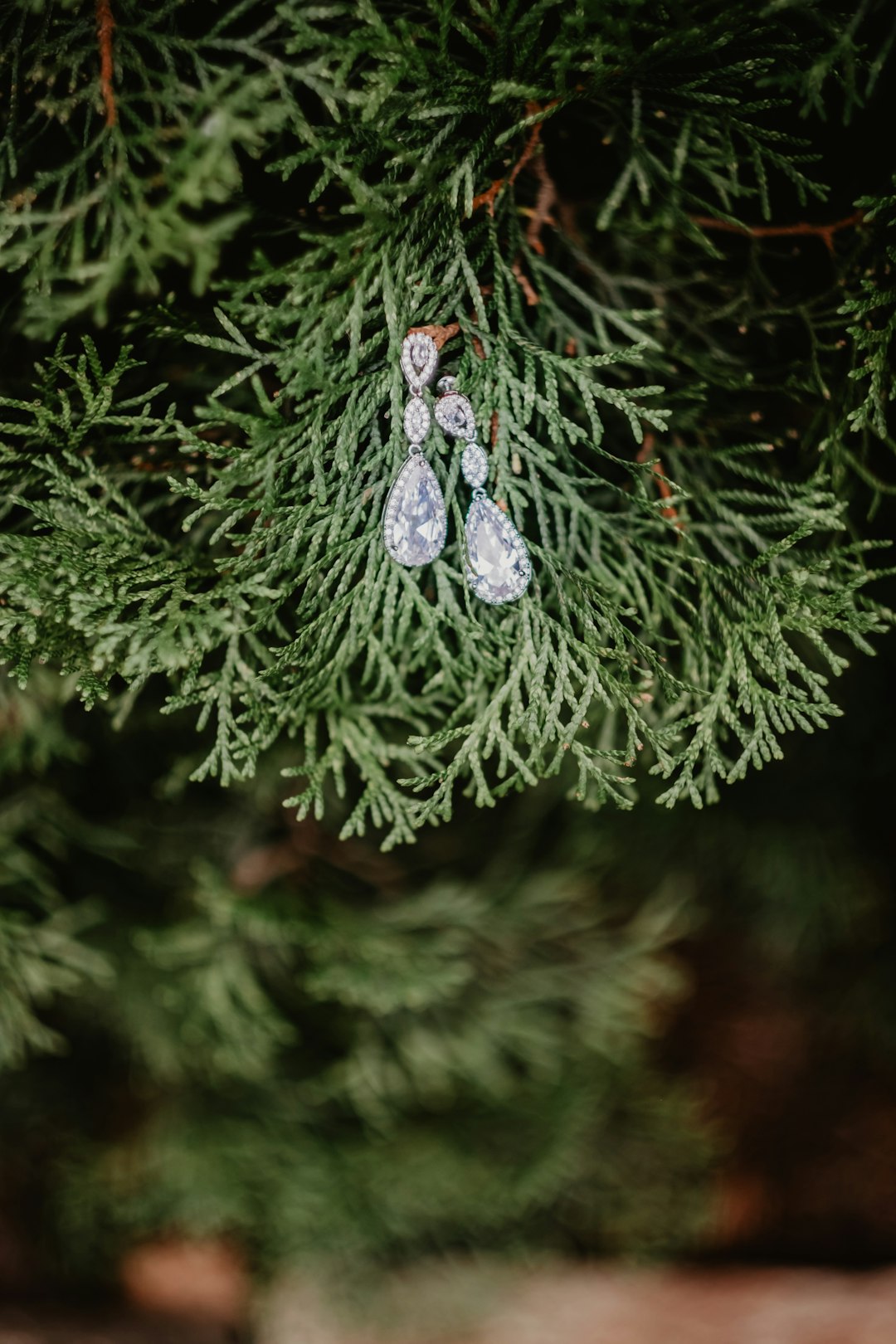 green pine tree with snow