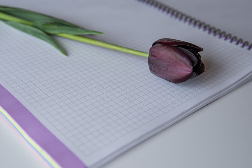 purple flower on white graphing paper