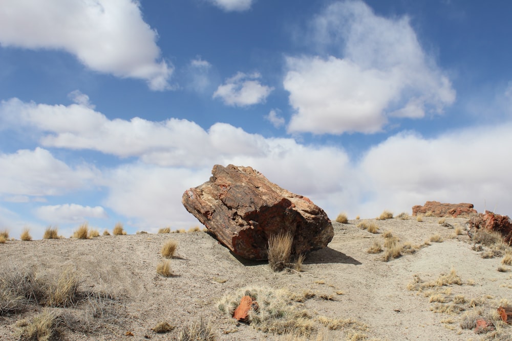 brown rock on brown sand under blue sky during daytime