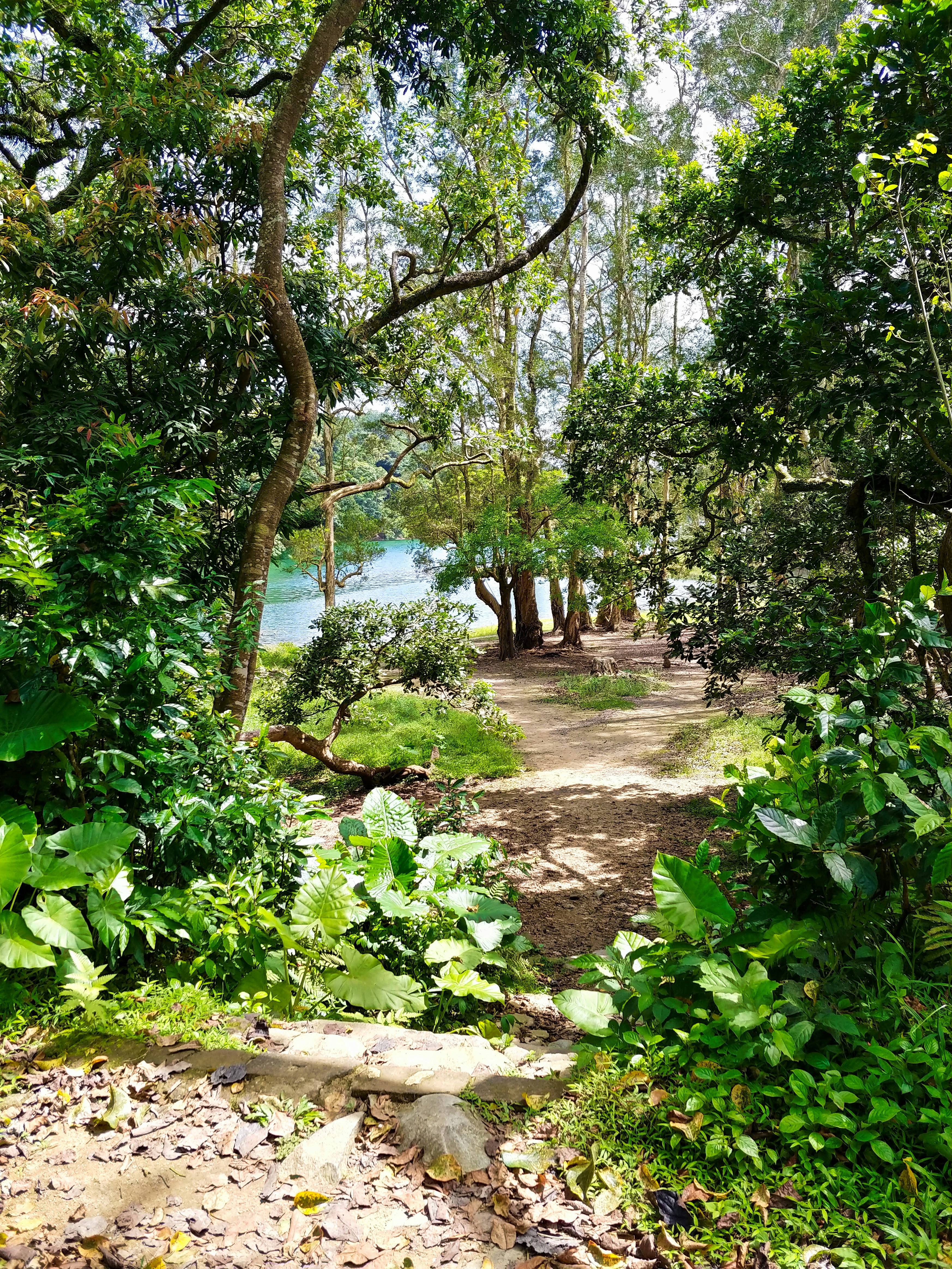 Photo by meditatingdragon